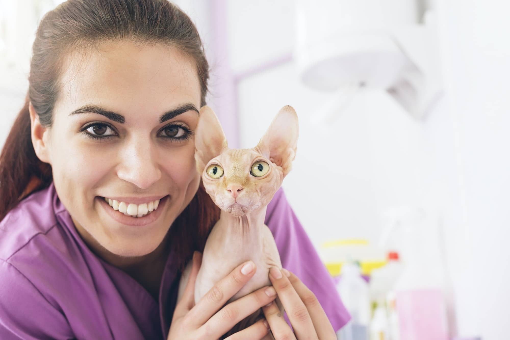 Veterinarian doctor hugging a little cat.